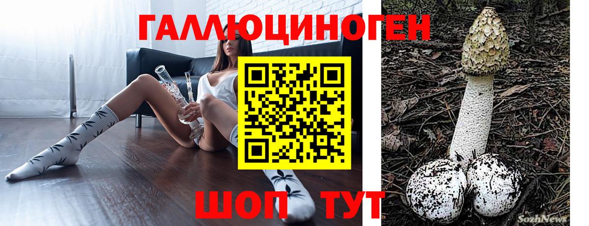 наркотики  Вход с VPN  Карабулак  Галлюциногенные грибы MAGIC MUSHROOMS 